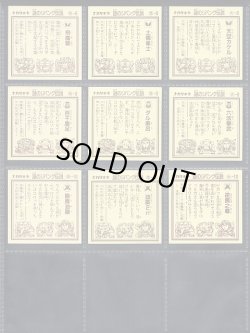 画像6: 謎のジパング伝説・1弾フルコンプ