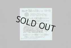 画像2: パラボンチョ