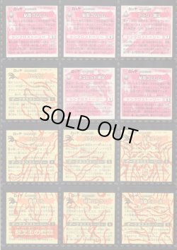 画像9: ガッツ！シンクロＸ・39種フルコンプ+素材違い11種