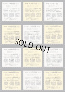 画像9: ハリマ王リターンズ・全37種コンプ+素材違い13種