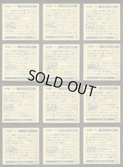 画像7: 快怪魔界・47/48種セミコンプ  