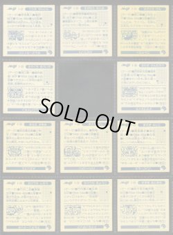 画像8: 快怪魔界・47/48種セミコンプ  