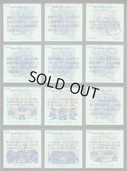 画像16: アニバーサリーレインボー・99/100種セミコンプ