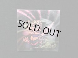 画像15: 魔空の迷宮・1弾〜3弾フルコンプ+1弾バージョン違いコンプ