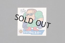 画像1: シュワルビネガー