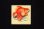 画像1: NO.120・金魚 (1)