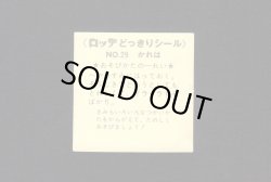 画像2: NO.29・かれは