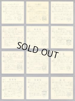 画像8: タイムスリップバトル・41種+めくり済36種セット