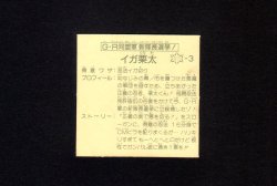 画像2: G-R同盟軍新隊長選挙 イガ栗太