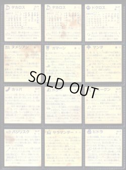 画像5: ネクロスの要塞・2弾36種セミコンプ