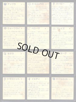 画像7: ネクロスの要塞・2弾36種セミコンプ