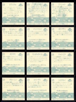 画像8: バトラーの聖剣 テスト品アルミ素材・38/40種セミコンプ