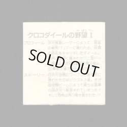 画像2: クロコダイールの野望I