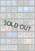ドキドキ学園アタック7〜19・ヘッドキラ244種セット