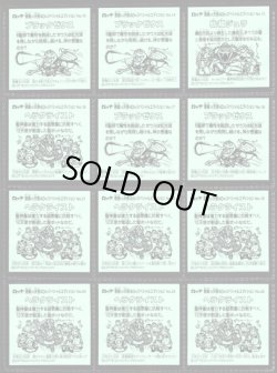 画像6: 40thスペシャルエディション・43/47種セミコンプ