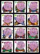 19弾次代・Q付全12種フルコンプB