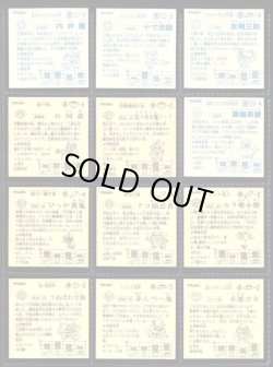 画像7: 魔天ドーム・37/40種セミコンプ