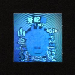 画像1: 牙蛇羅「秘伝忍法帳」