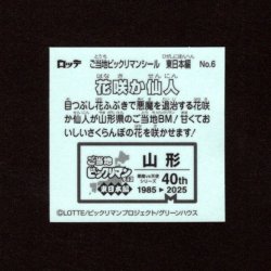 画像2: 花咲か仙人（NO.6）