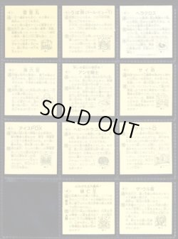 画像3: タイムスリップバトル・1弾セミコンプ（22/24種）