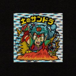 画像1: 土のサンドラ