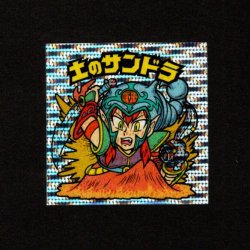 画像1: 土のサンドラ