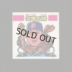 画像1: 愛甲で勝（パート2）