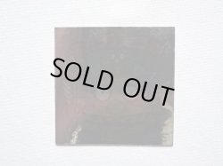 画像3: 大王ラファエラ助（裏※説明文なし）