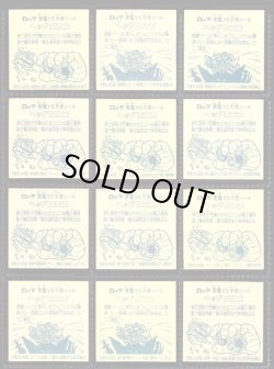 画像2: アイス版9弾ヘッド・全12種フルコンプ「並品」