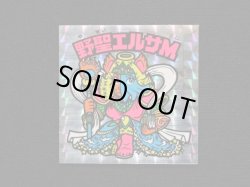 画像3: 野聖エルサM