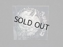 画像6: ヘッドロココ（ホロ）