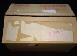 画像6: AKBックリマンWEST1箱+クリアファイル4種セット（オンライン限定品）