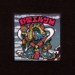 画像1: 野聖エルサM（No.15）