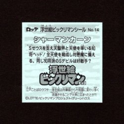 画像2: シャーマンカーン（No.14）