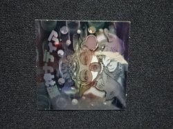 画像7: 聖神ナディア
