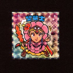 画像1: 聖華士（NO.11）