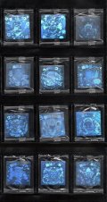 ホロセレクションパート1・全12種フルコンプ（未開封）B