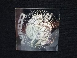 画像7: ヘッドロココ（ホロ）