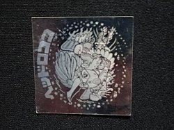 画像7: ヘッドロココ（ホロ）B