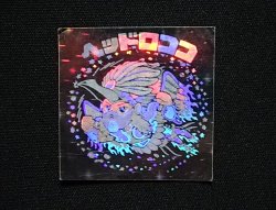 画像3: ヘッドロココ（ホロ）B