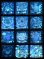 画像1: ホロセレクションパート1・全12種フルコンプ（B） (1)