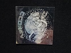 画像7: ヘッドロココ（ホロ）