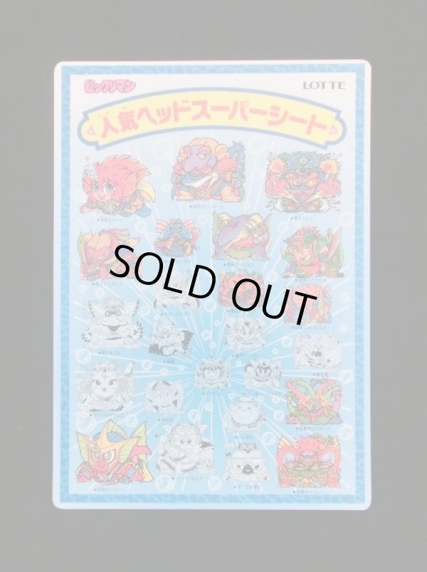 画像6: ビックリサマーパック・空袋+スーパーシート