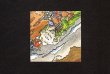 画像1: 砂漠の戦い