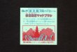 画像2: 伝魔洗脳マッドブラシ