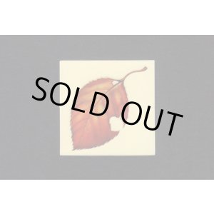 画像: NO.29・かれは