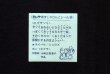 画像2: NO.68 ヒゲサソリ