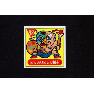 画像: ピッカリピカソ戦士