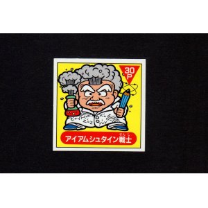 画像: アイアムシュタイン戦士