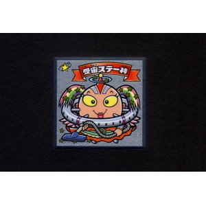 画像: 受宙ステー神（天418）